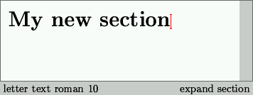 Starting a section (step 4)