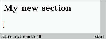 Entering the section body (step 1)